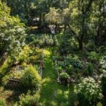 Permaculture : Principes de base pour débuter
