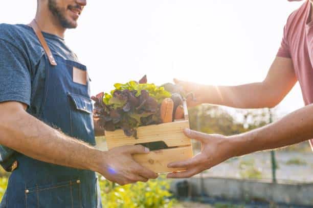 aliments bio nourriture santé